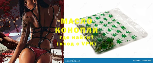 молекула духа Каменка