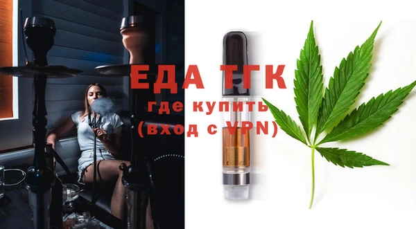 молекула духа Каменка
