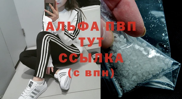 молекула духа Каменка