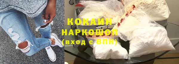 молекула духа Каменка