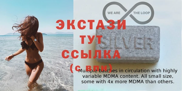 МДПВ Каменногорск