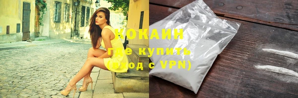 МДПВ Каменногорск