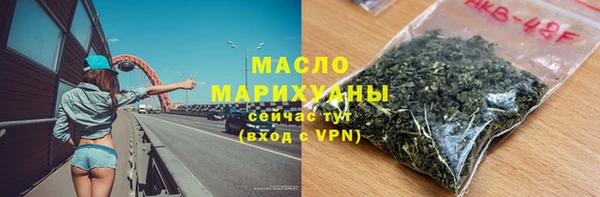 молекула духа Каменка