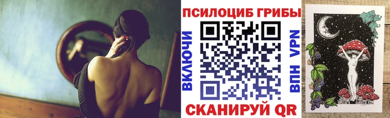 Псилоцибиновые грибы GOLDEN TEACHER  Купить где  Злынка 
